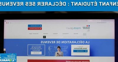 comment-declarer-ses-revenus-en