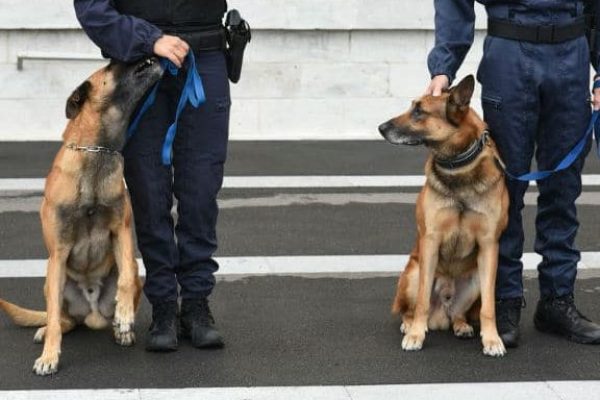 gendarme-maitre-chien-un-duo