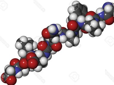 le-role-essentiel-de-l