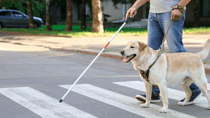 le-salaire-dun-educateur-canin