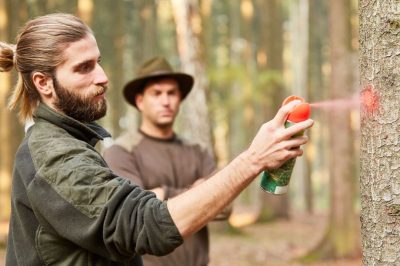 le-salaire-dun-garde-forestier