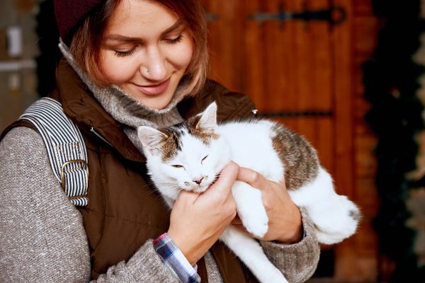 le-salaire-dun-soigneur-animalier