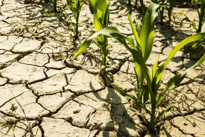 les-impacts-du-changement-de-situation