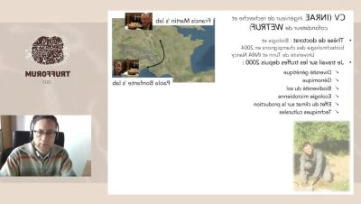 truffes-noires-et-blanches-analyse-des